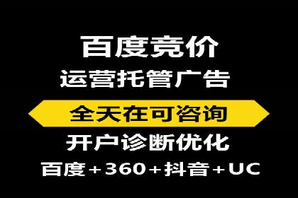 某公司通过百度竞价实现业务快速增长的案例
