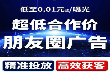 竞价广告与自然搜索的结合策略：XX网站的案例分析